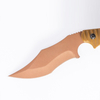 Golden Coating Blade Karambit Fixed Blade Knife