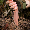 Golden Coating Blade Karambit Fixed Blade Knife